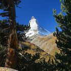 Matterhorn Zermatt Schweiz