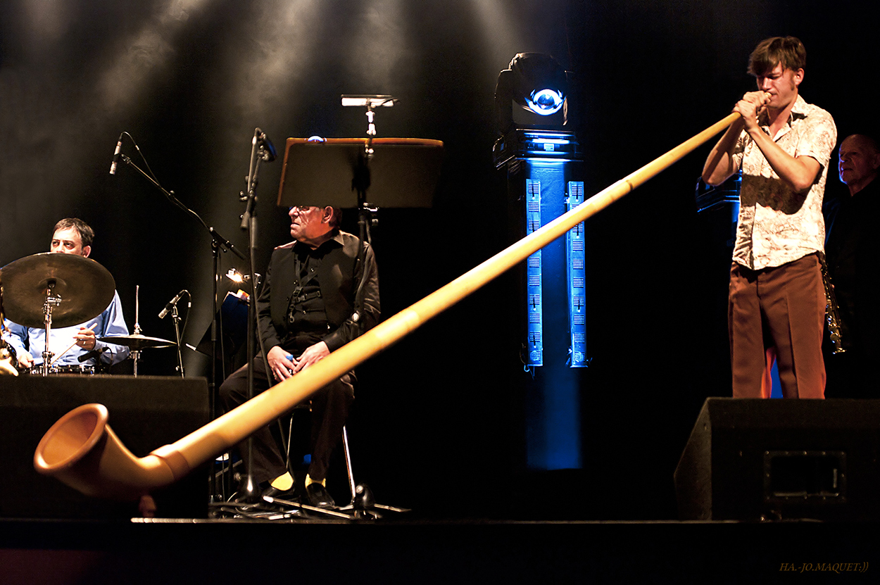 Matthias Schriefl - Alphorn