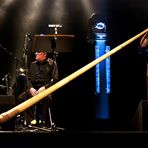 Matthias Schriefl - Alphorn