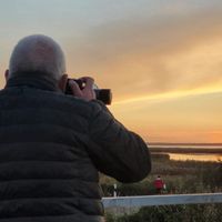 Matthias Schulte Föhr