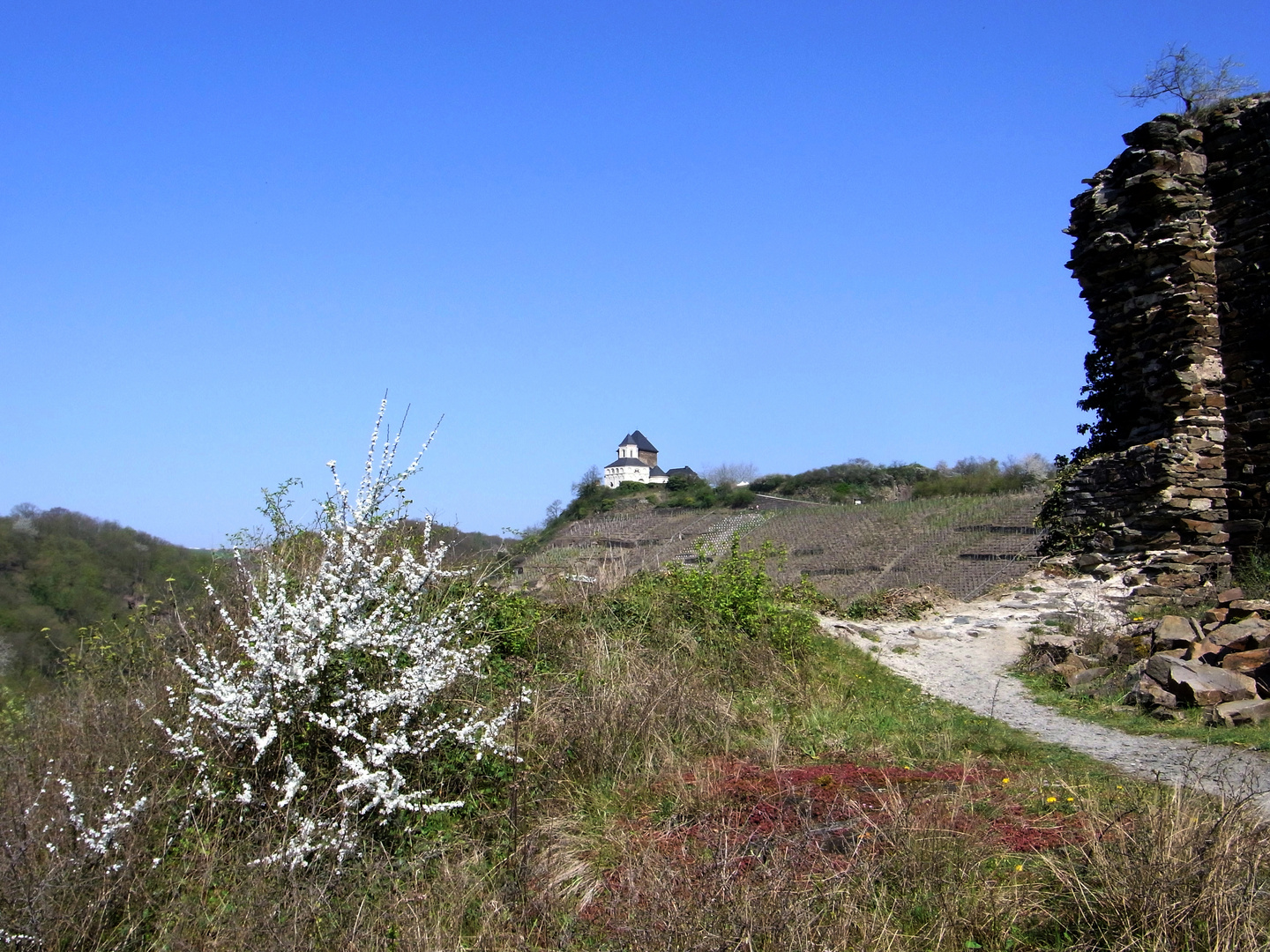 Matthiaskapelle über Kobern-Gondorf/Mosel