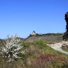 Matthiaskapelle über Kobern-Gondorf/Mosel