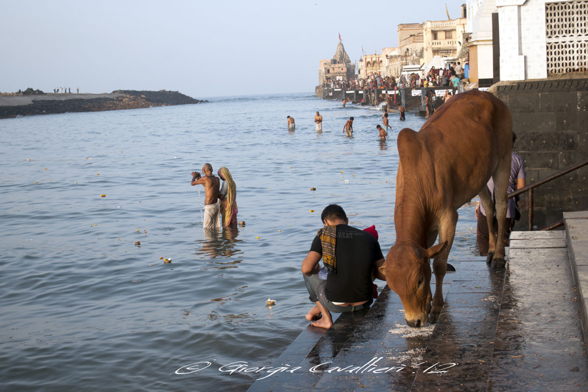 Mattina ai Ghat di Dwarka