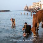 Mattina ai Ghat di Dwarka