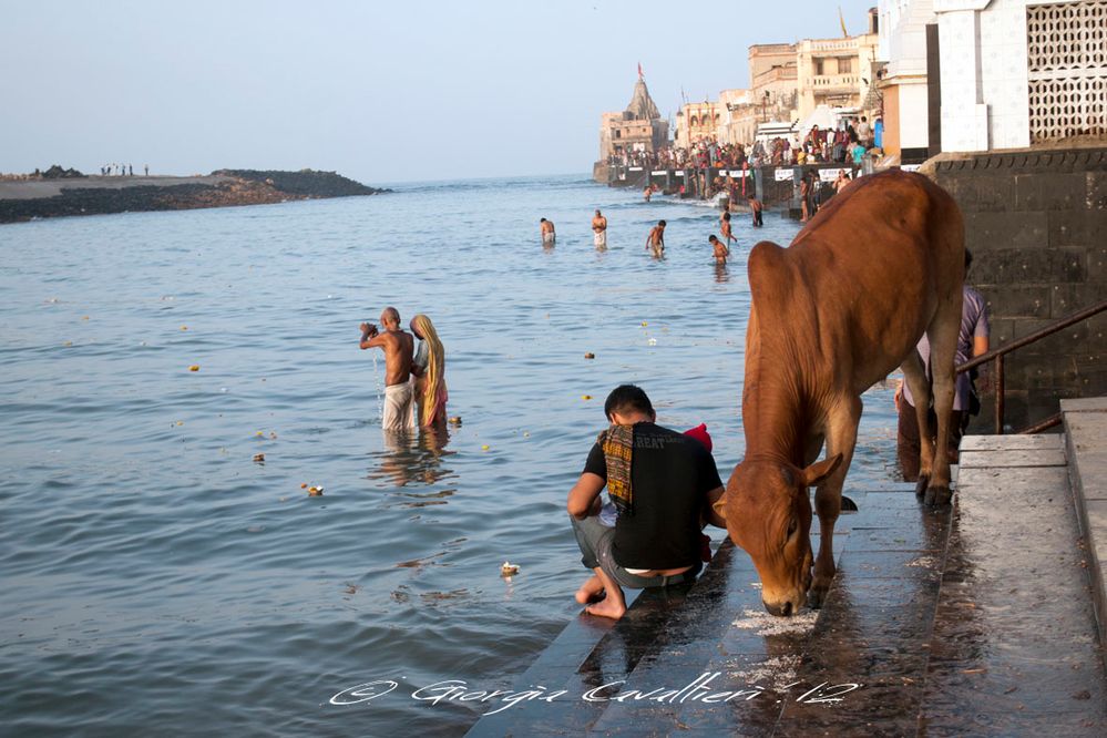 Mattina ai Ghat di Dwarka