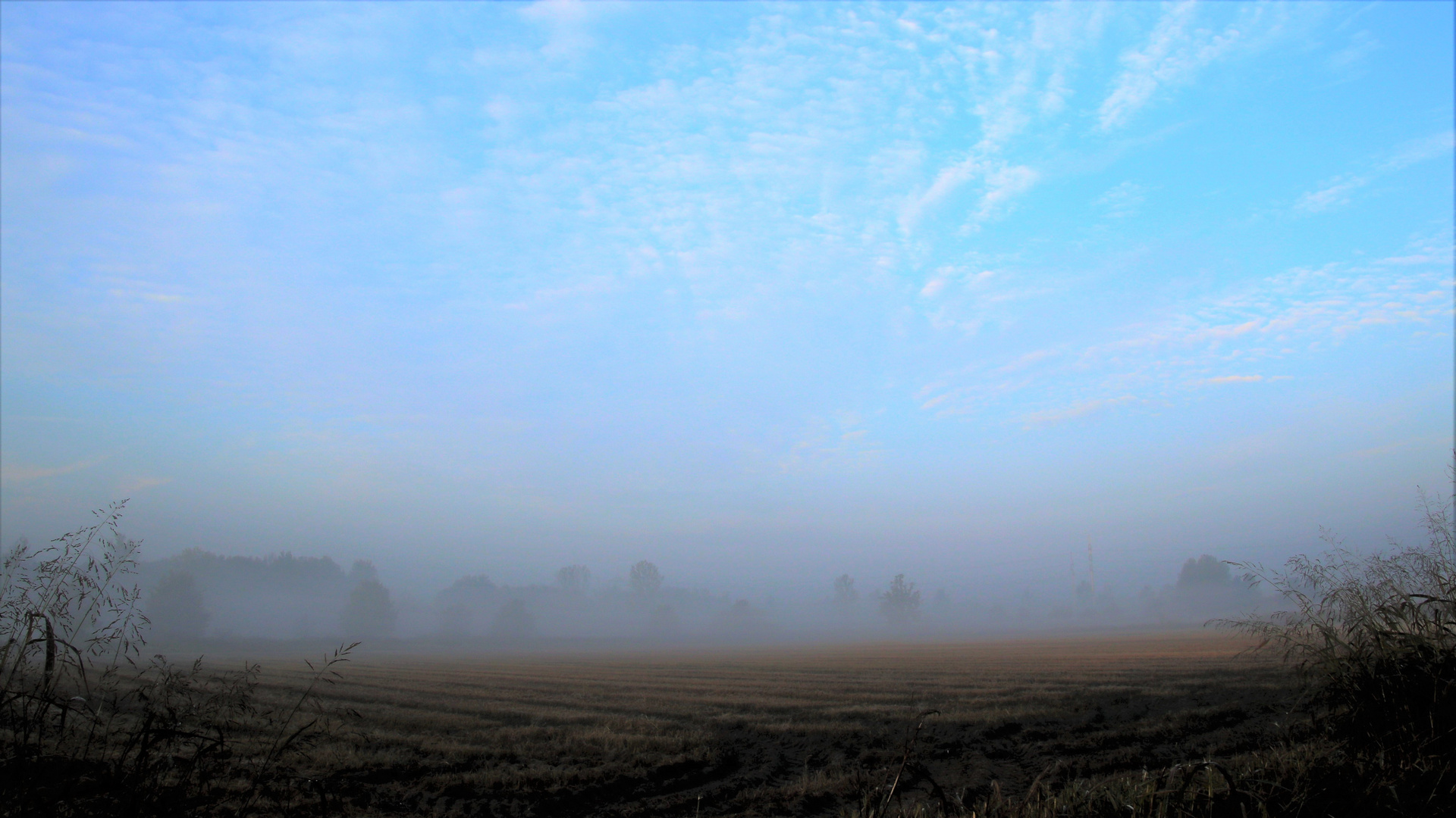 Mattina d'autunno