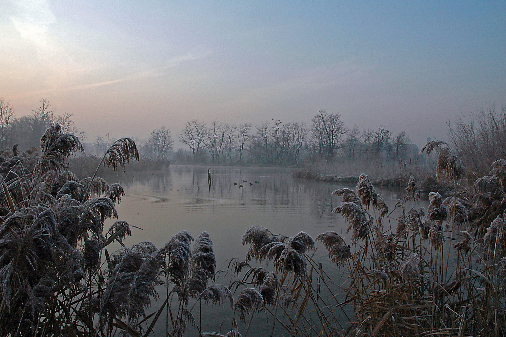 Mattina d'inverno 2