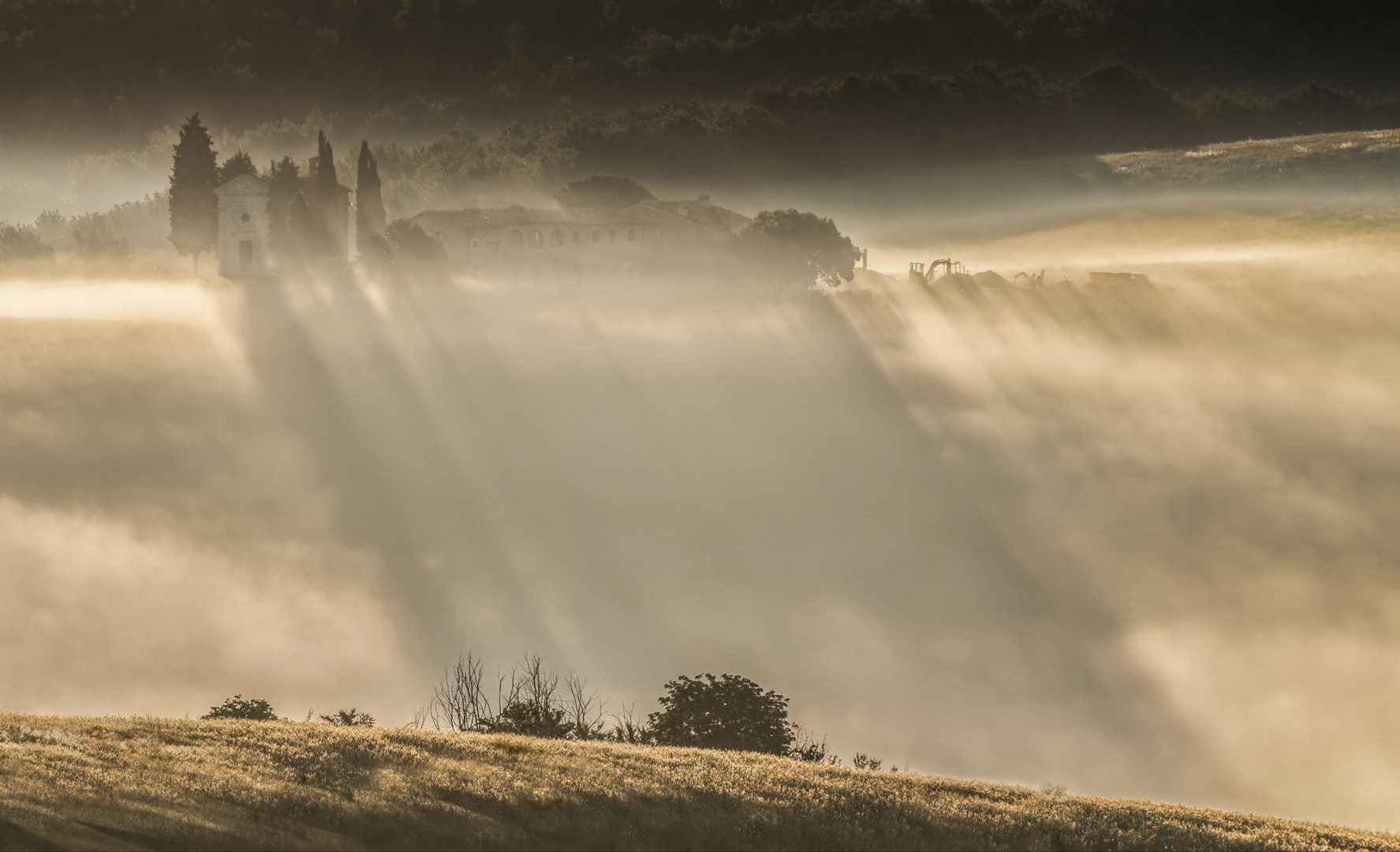 ~ Mattina d'oro ~