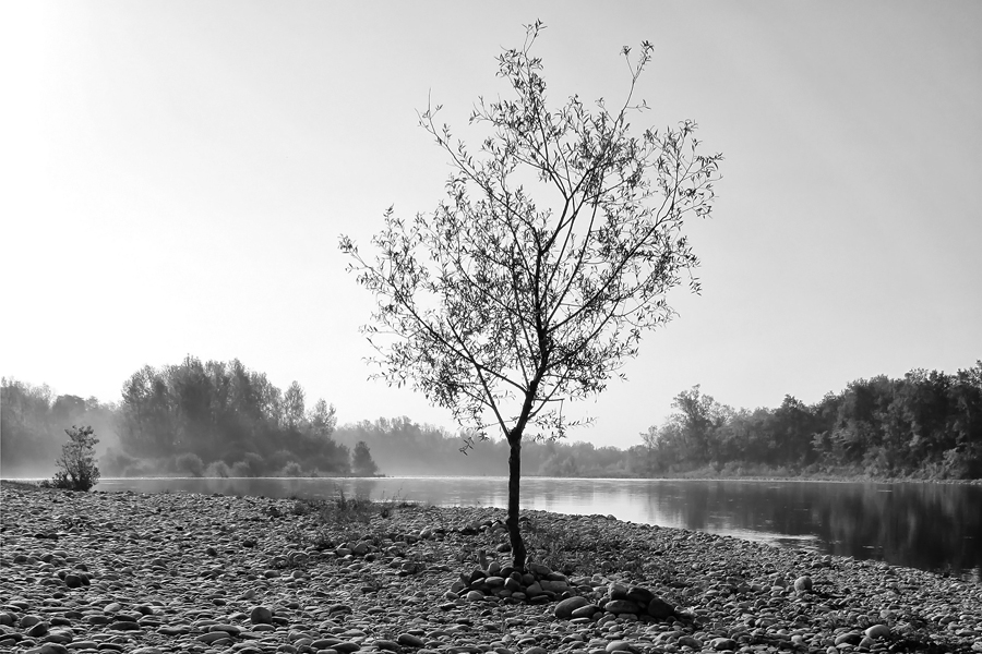 Mattina sul fiume Ticino