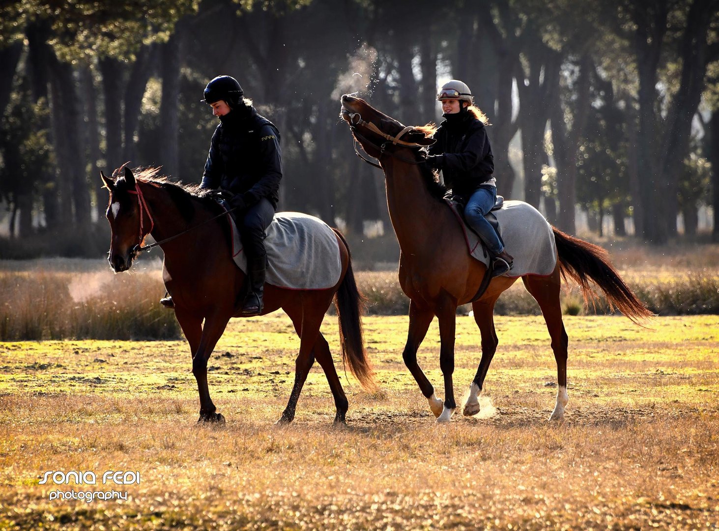 Mattinata a cavallo