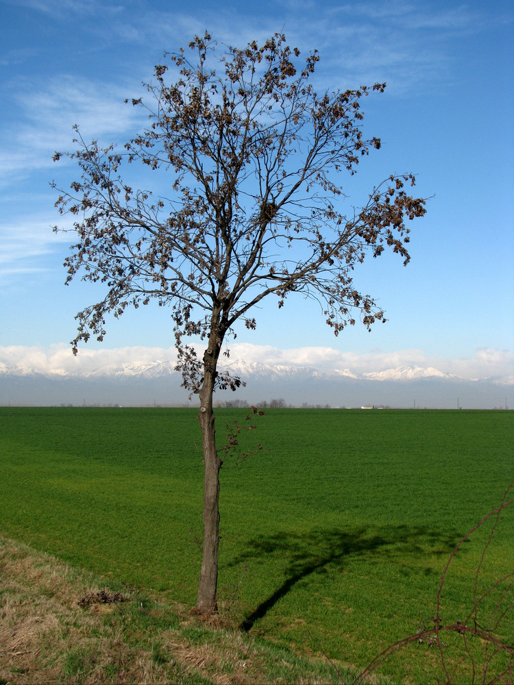 mattinata di relax