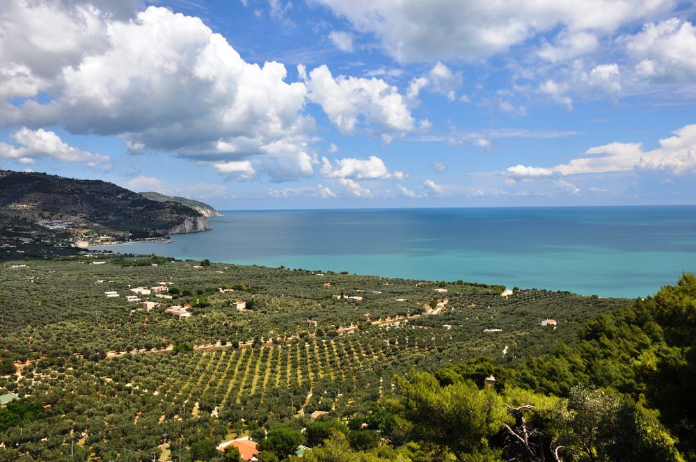 Mattinata, Gargano