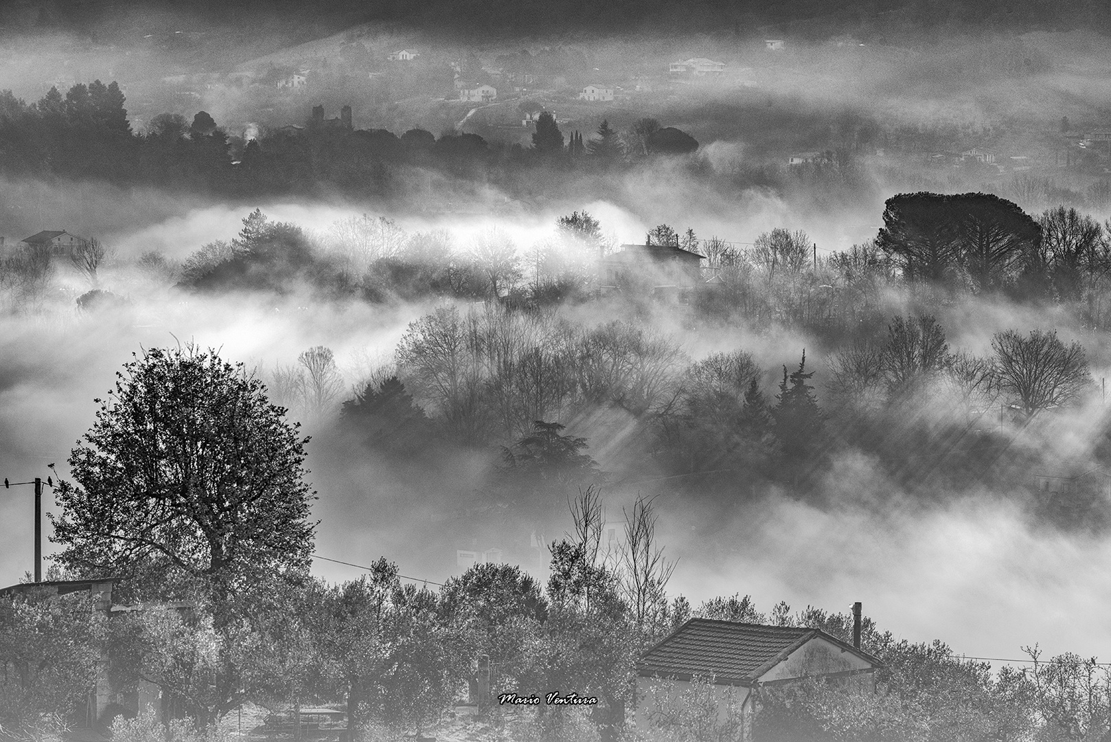 Mattino con nebbia