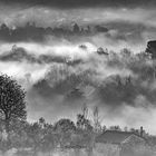 Mattino con nebbia