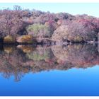 MATTINO D'AUTUNNO