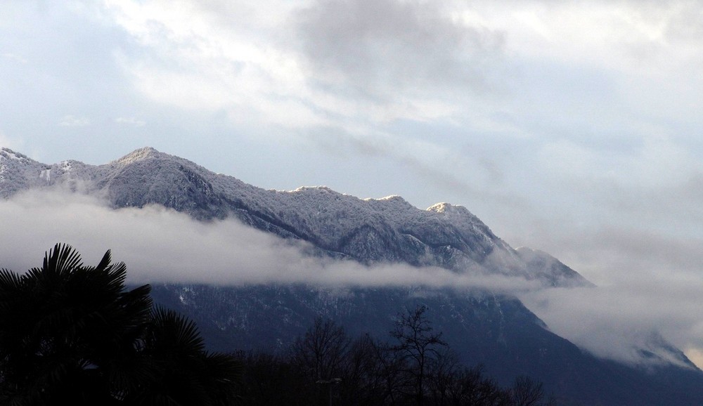 MATTINO DELL'EPIFANIA 2008