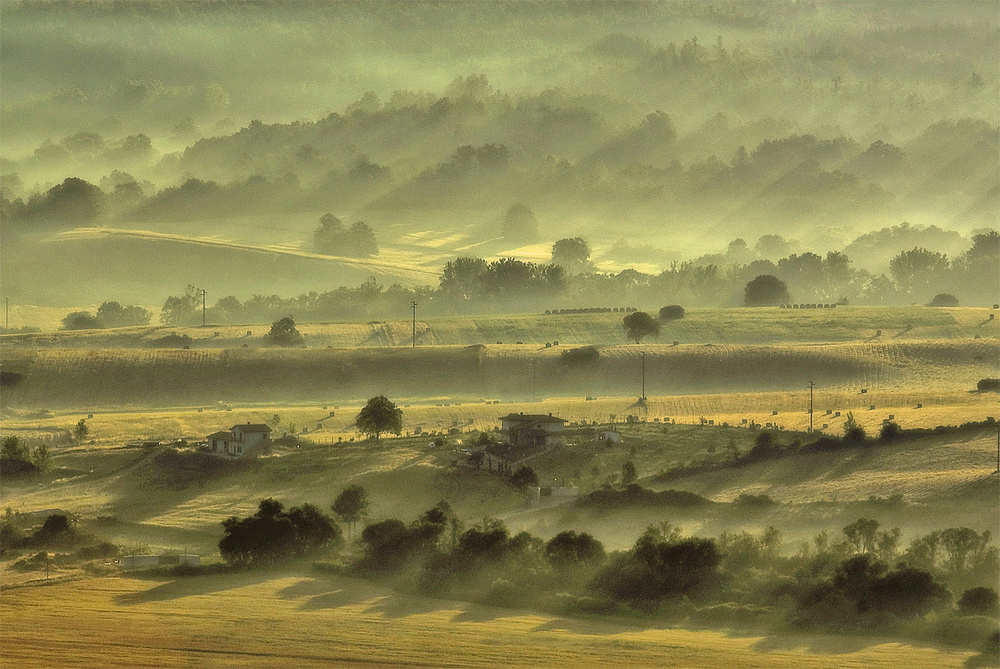 Mattino d'estate