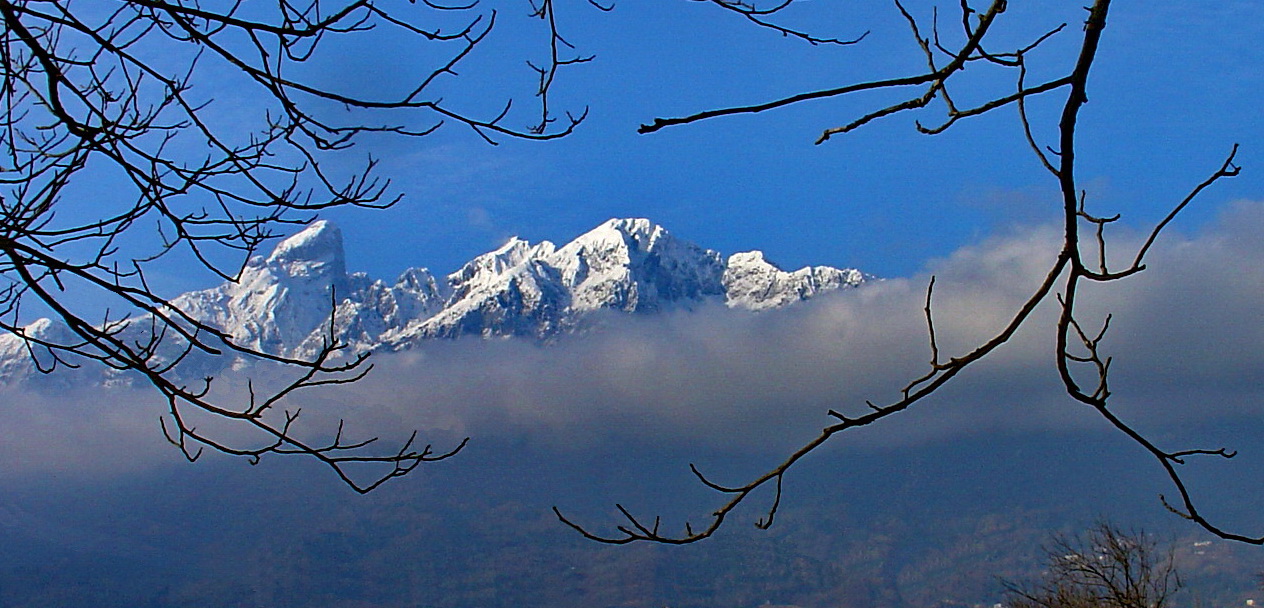 Mattino d'inverno