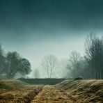 Mattino d'inverno nella valle dei pioppi