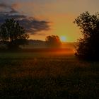 mattino in campagna