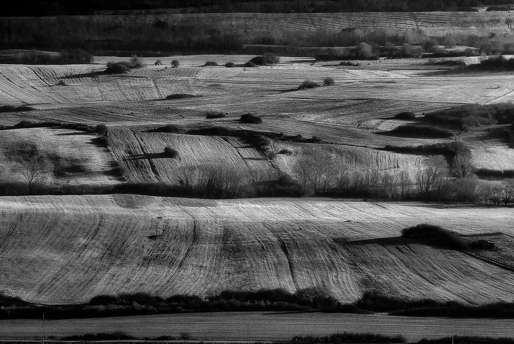 Mattino in campagna