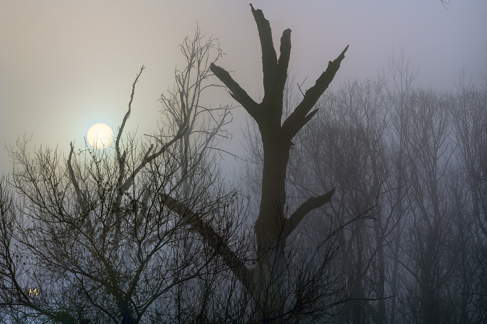 Mattino nella Valle dell'Aniene