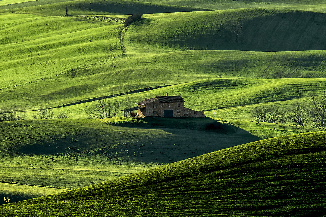 Mattino toscano 