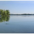 Mattsee im Frühling