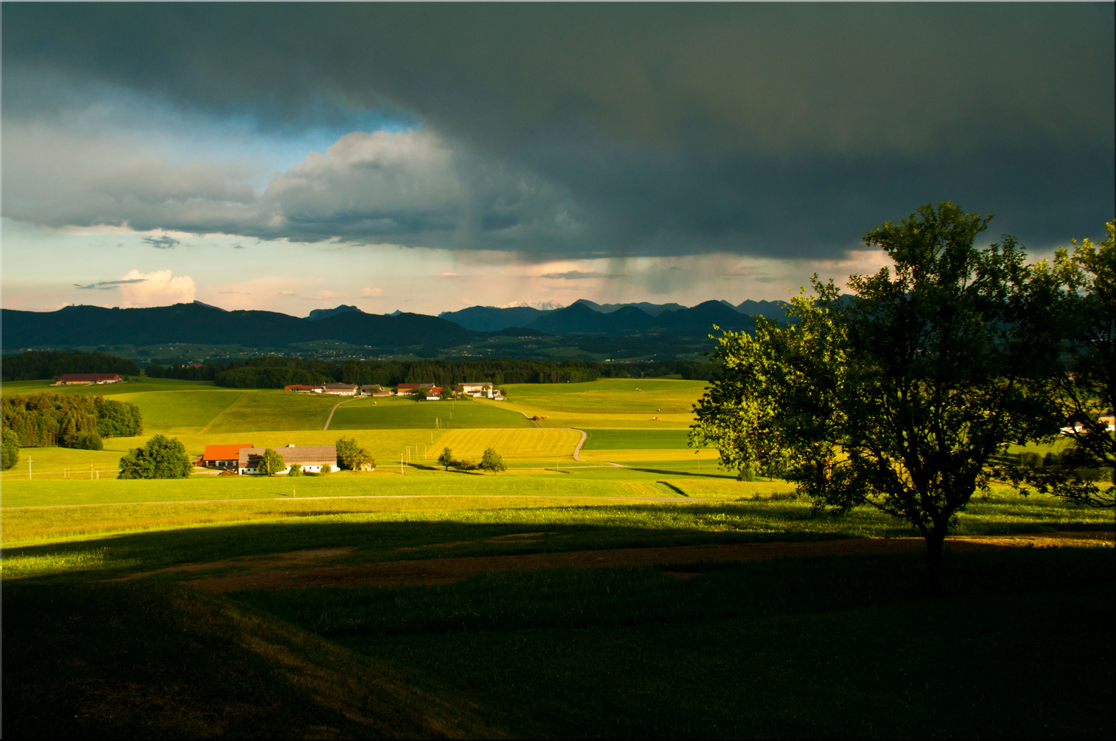 Mattsee vom Buchberg