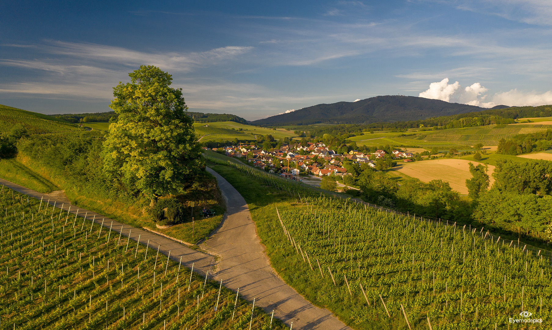 Mauchen im Markgräflerland