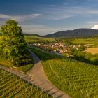 Mauchen im Markgräflerland