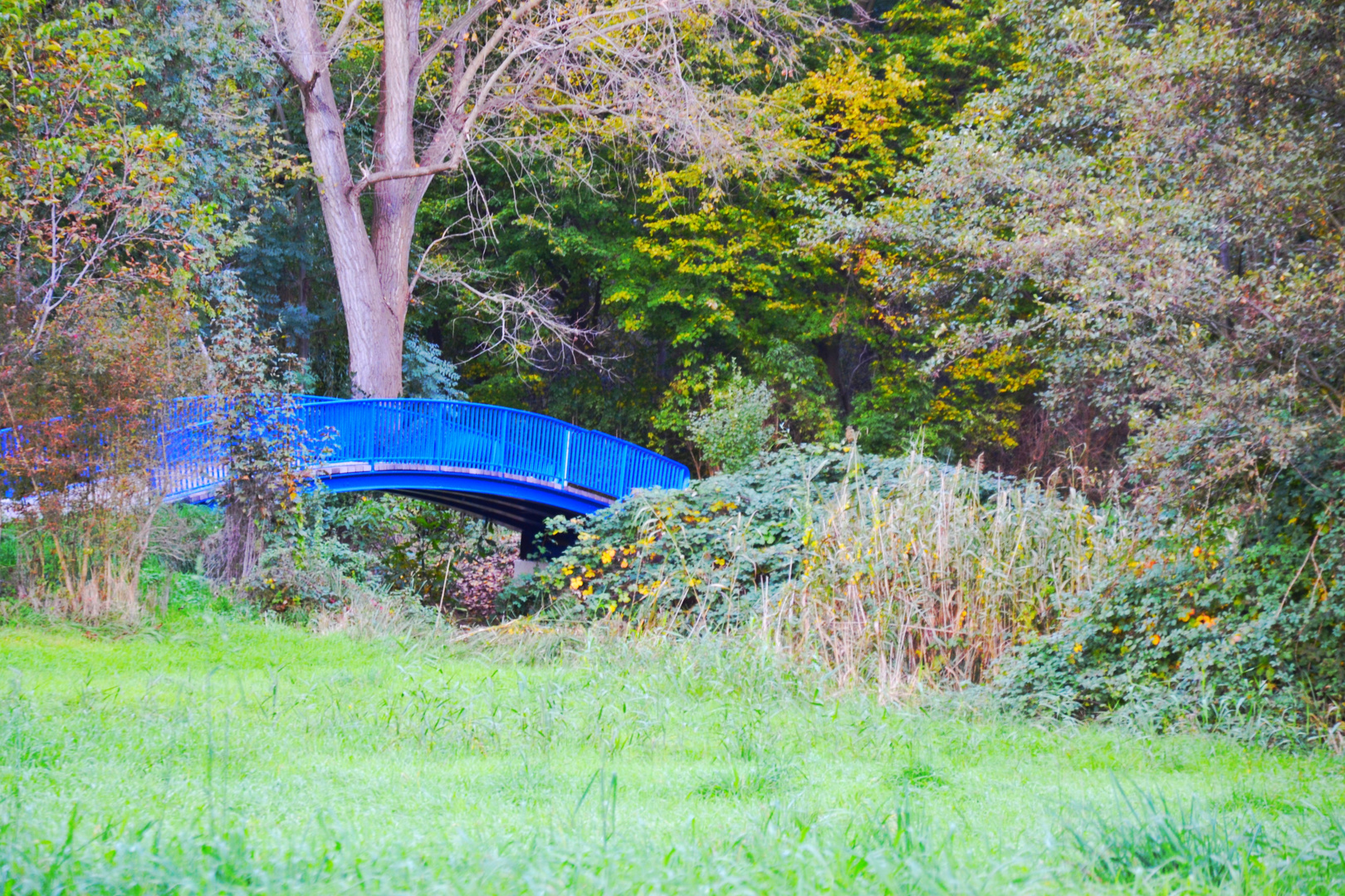 Maudacher Bruch - Blue Bridge - Ludwigshafen