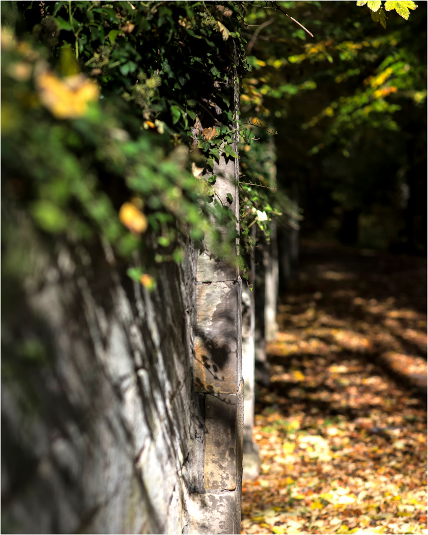 Mauer am Stadtwall, Stadthagen