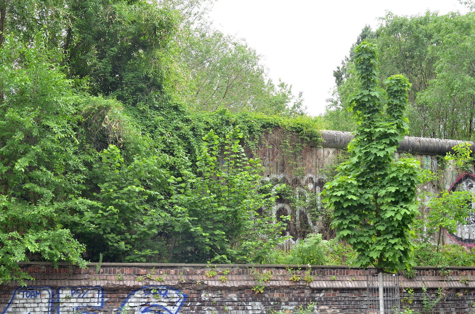 Mauer an der Liesenstr.