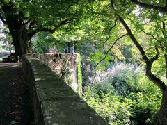 Mauer Burggarten