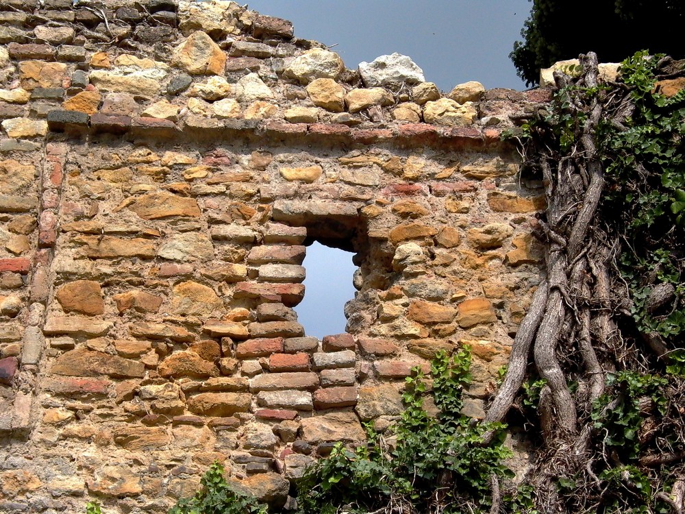 Mauer der "KURFÜRSTLICHEN BURG ELTVILLE"