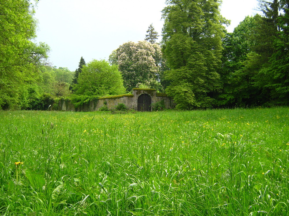 Mauer des Kloster Arnsburg