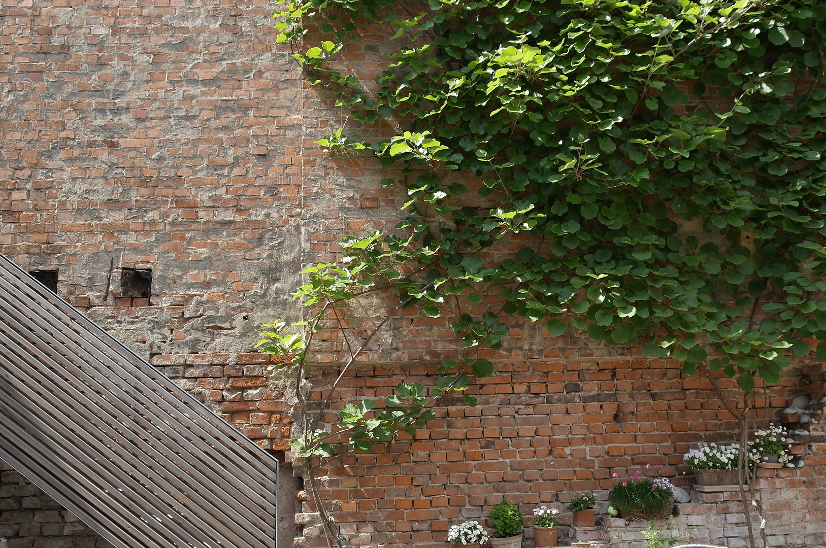 Mauer Grün Treppe