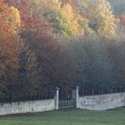 Mauer im Herbst