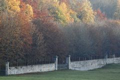 Mauer im Herbst