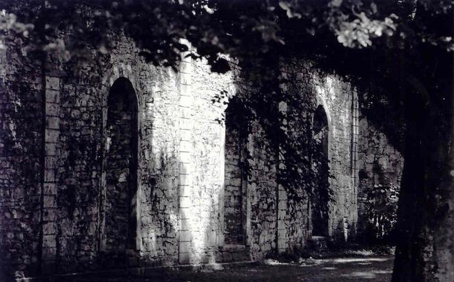 Mauer im Stadtpark Detmold