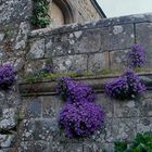 Mauer in Frankreich