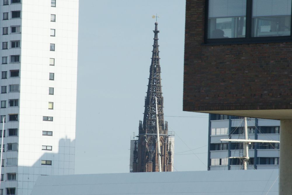 ''Mauer (kirchen) blümchen''?