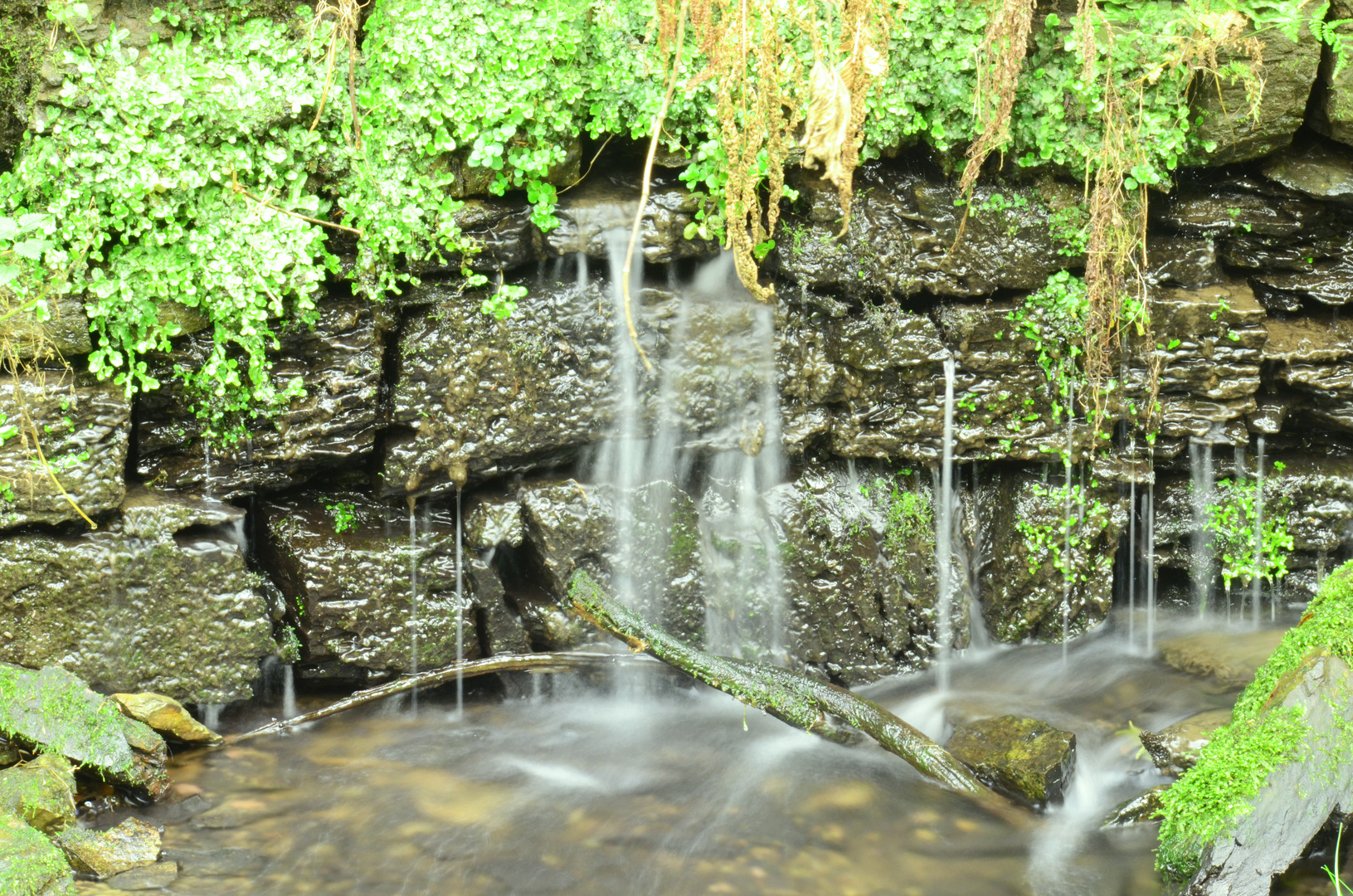 Mauer mit Wasser