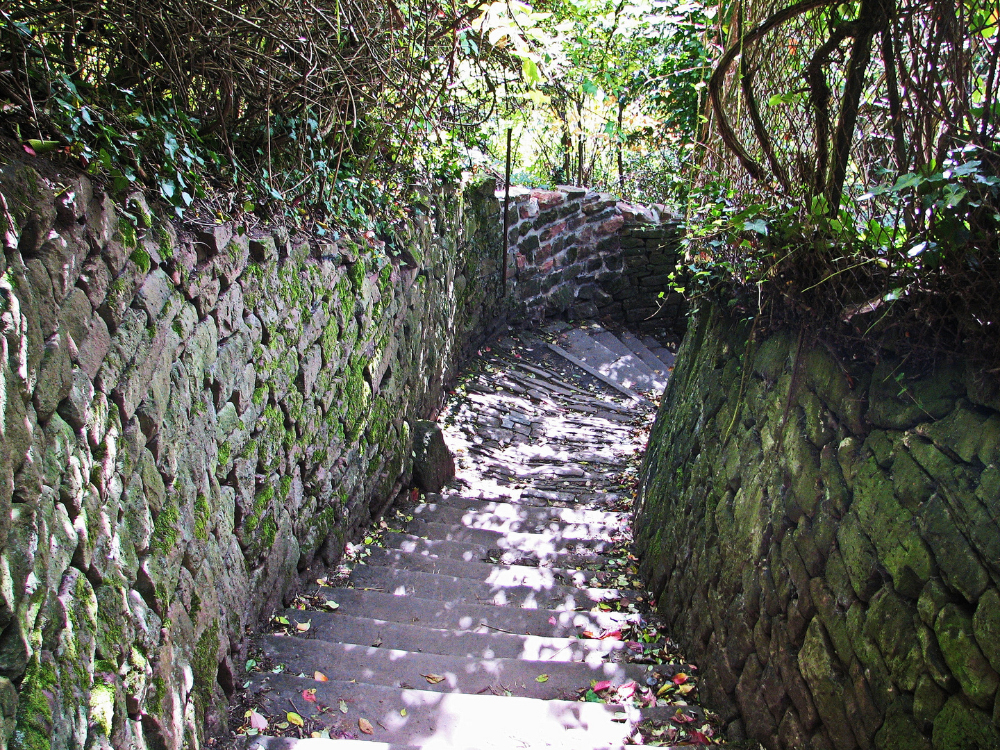 Mauer Treppe