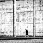 Mauerblickfang