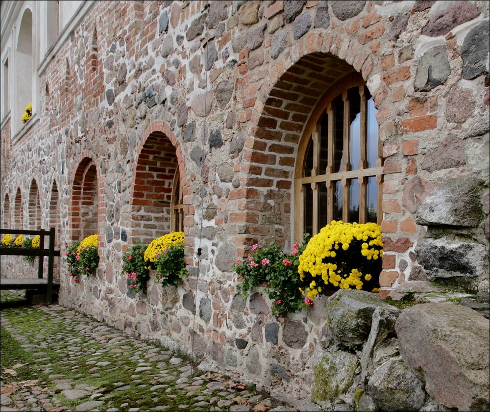 Mauerblümchen