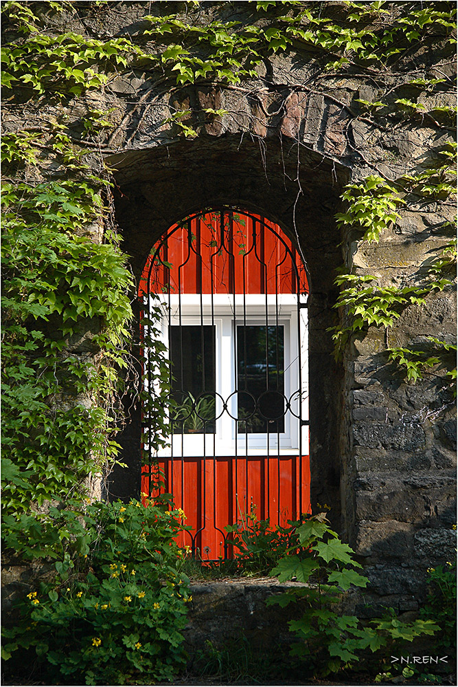 Mauerblümchen