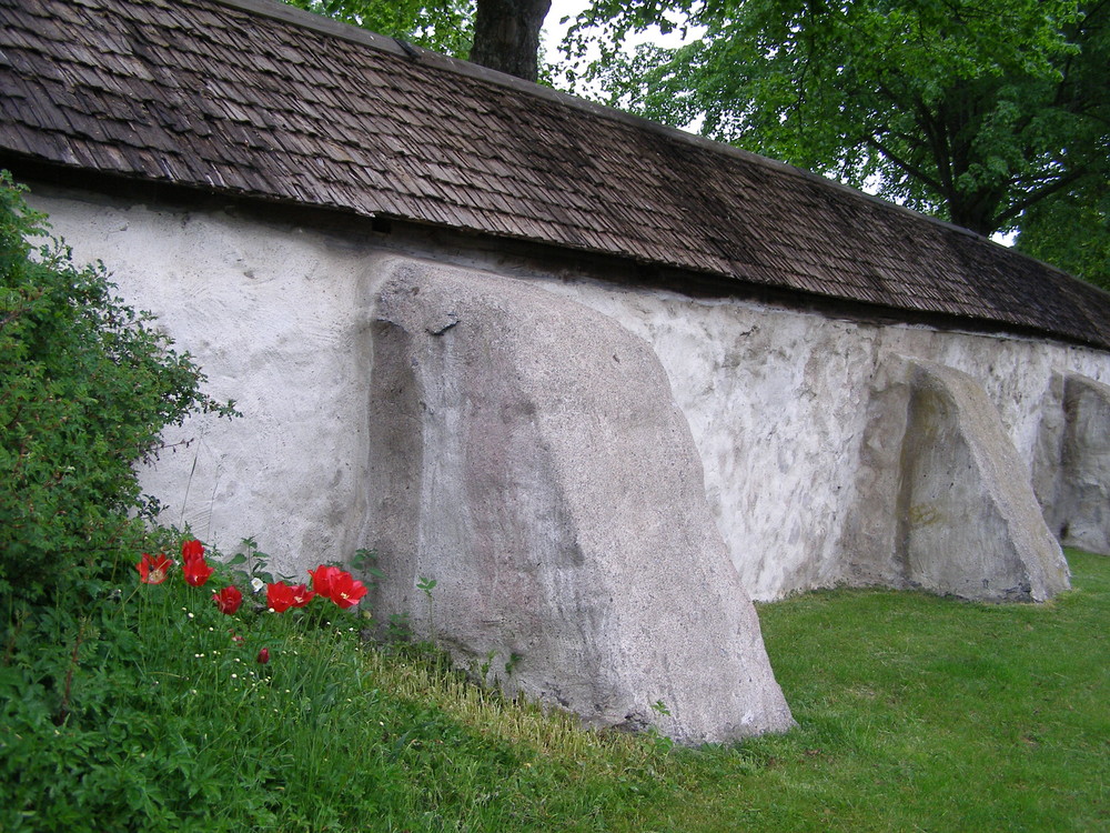 Mauerblümchen