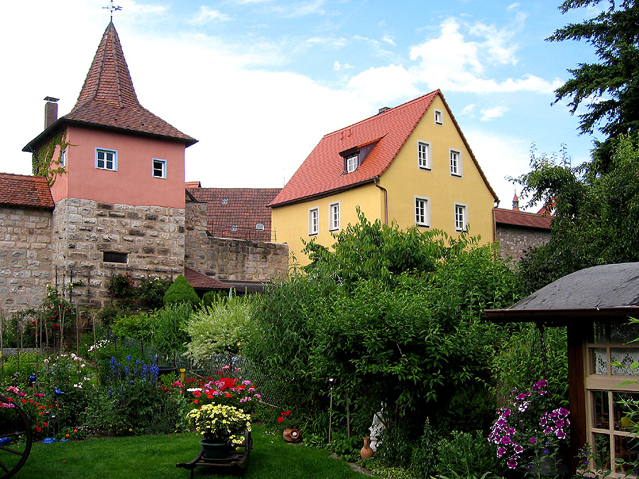 Mauerblümchen und Flurersturm